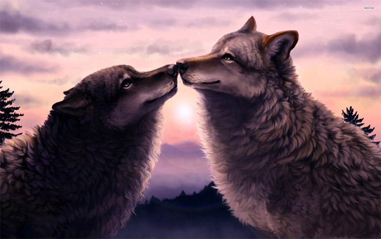 Прикольные и красивые арт картинки волка. Нарисованный волк, фэнтези 13