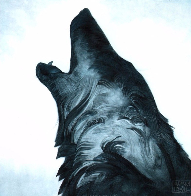 Прикольные и красивые арт картинки волка. Нарисованный волк, фэнтези 16