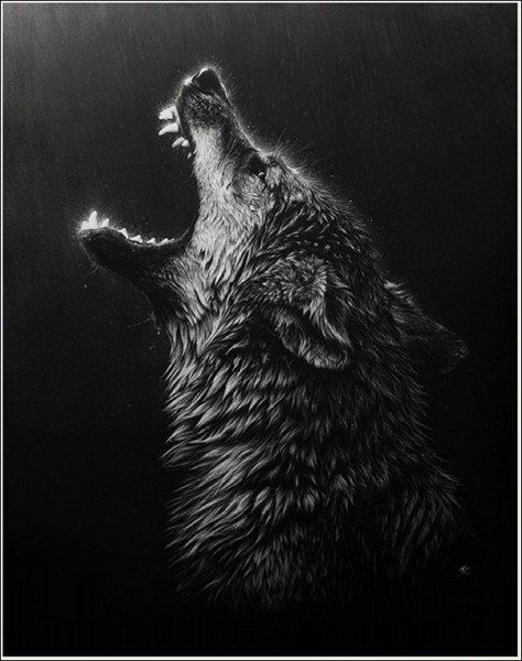 Прикольные и красивые арт картинки волка. Нарисованный волк, фэнтези 2