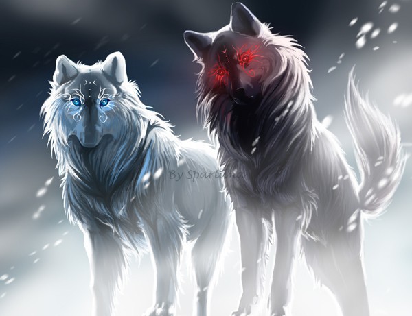Прикольные и красивые арт картинки волка. Нарисованный волк, фэнтези 4