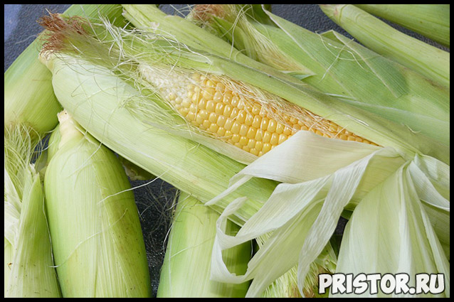 Как варить кукурузу в початках - лучший рецепт приготовления 1