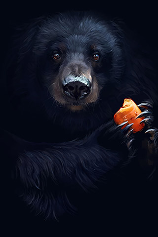Картинки на телефон медведи, аватарки с медведями - подборка 9