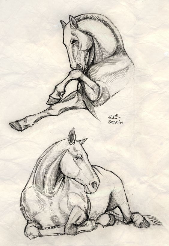 Красивые картинки для срисовки карандашом лошади или пони 22
