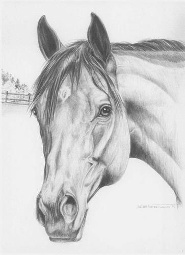 Красивые картинки для срисовки карандашом лошади или пони 25