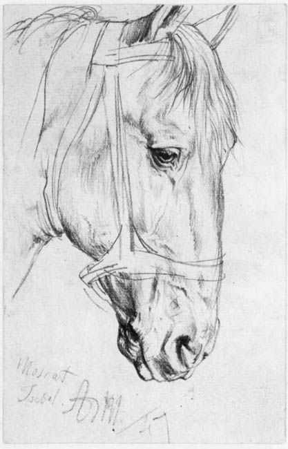 Красивые картинки для срисовки карандашом лошади или пони 26
