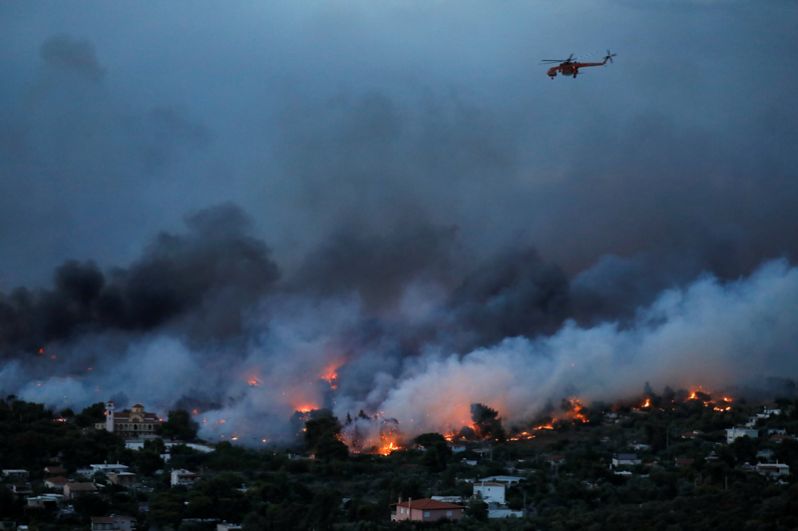 Масштабные лесные пожары в Греции - новости с фото 4