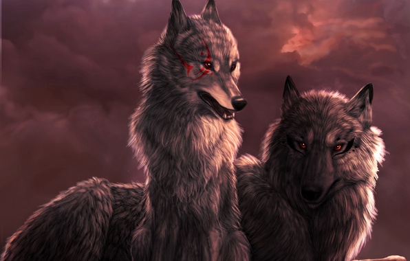 Очень красивые картинки волка и волчицы - подборка изображений 1
