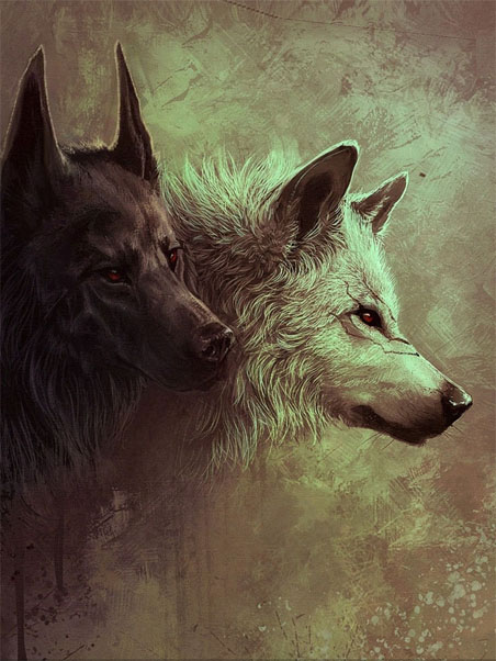 Очень красивые картинки волка и волчицы - подборка изображений 14