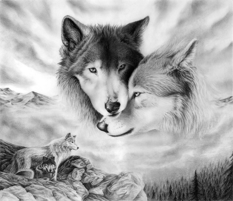 Очень красивые картинки волка и волчицы - подборка изображений 15