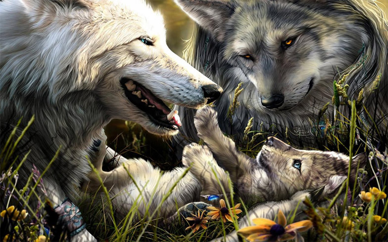 Очень красивые картинки волка и волчицы - подборка изображений 18