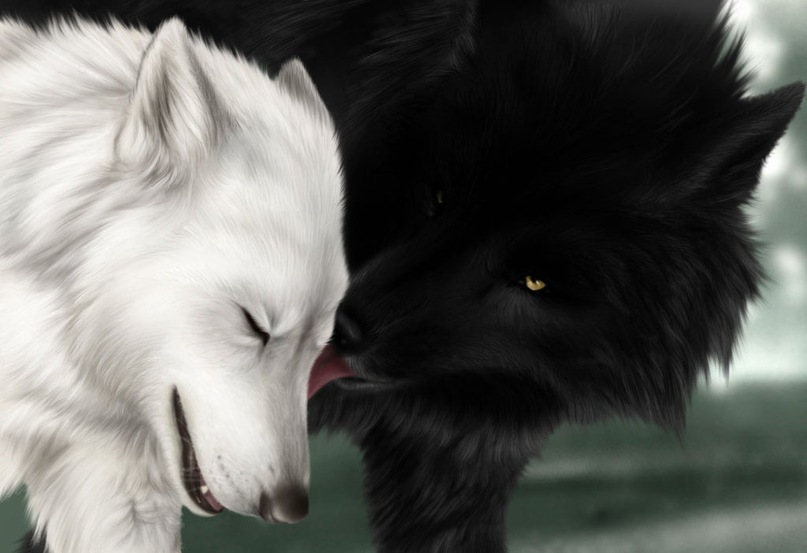 Очень красивые картинки волка и волчицы - подборка изображений 7