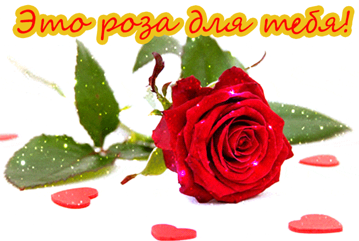 Красивые и прекрасные розы гифки, открытки для женщин 2