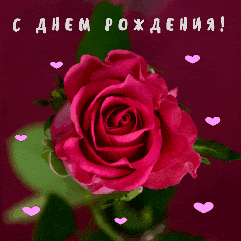 Красивые и прекрасные розы гифки, открытки для женщин 5