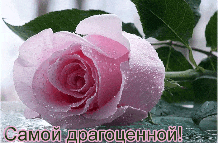 Красивые и прекрасные розы гифки, открытки для женщин 7