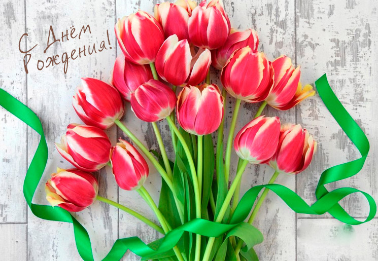 Красивые картинки и открытки С Днем Рождения с тюльпанами 6