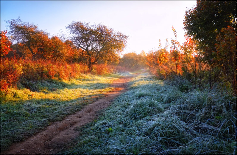 Осеннее утро, утро осенью - красивые и невероятные картинки 3