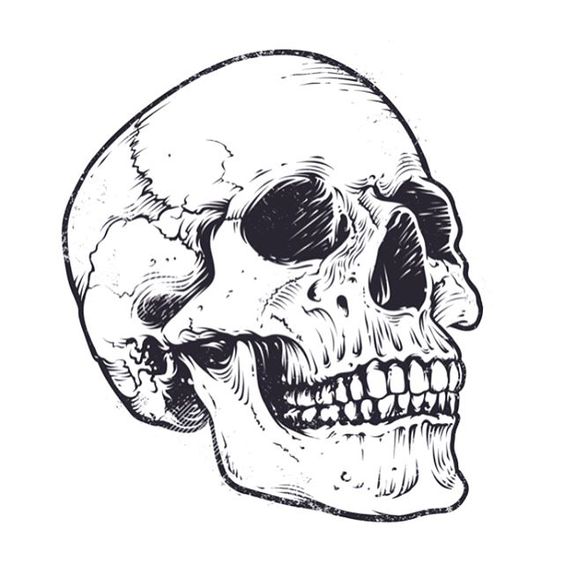 Рисунки и картинки для срисовки череп, черепок - самые прикольные 11