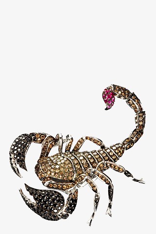 Красивые обои и картинки скорпионов на телефон на заставку 8