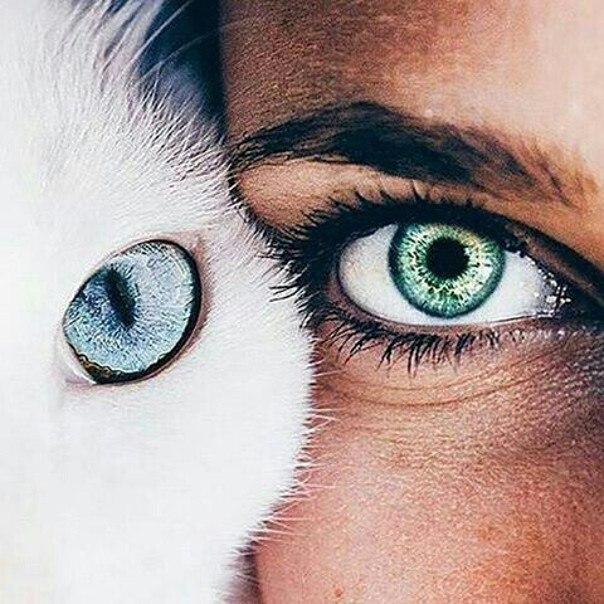 Удивительные картинки глаза девушек на аву и аватарку - подборка 14