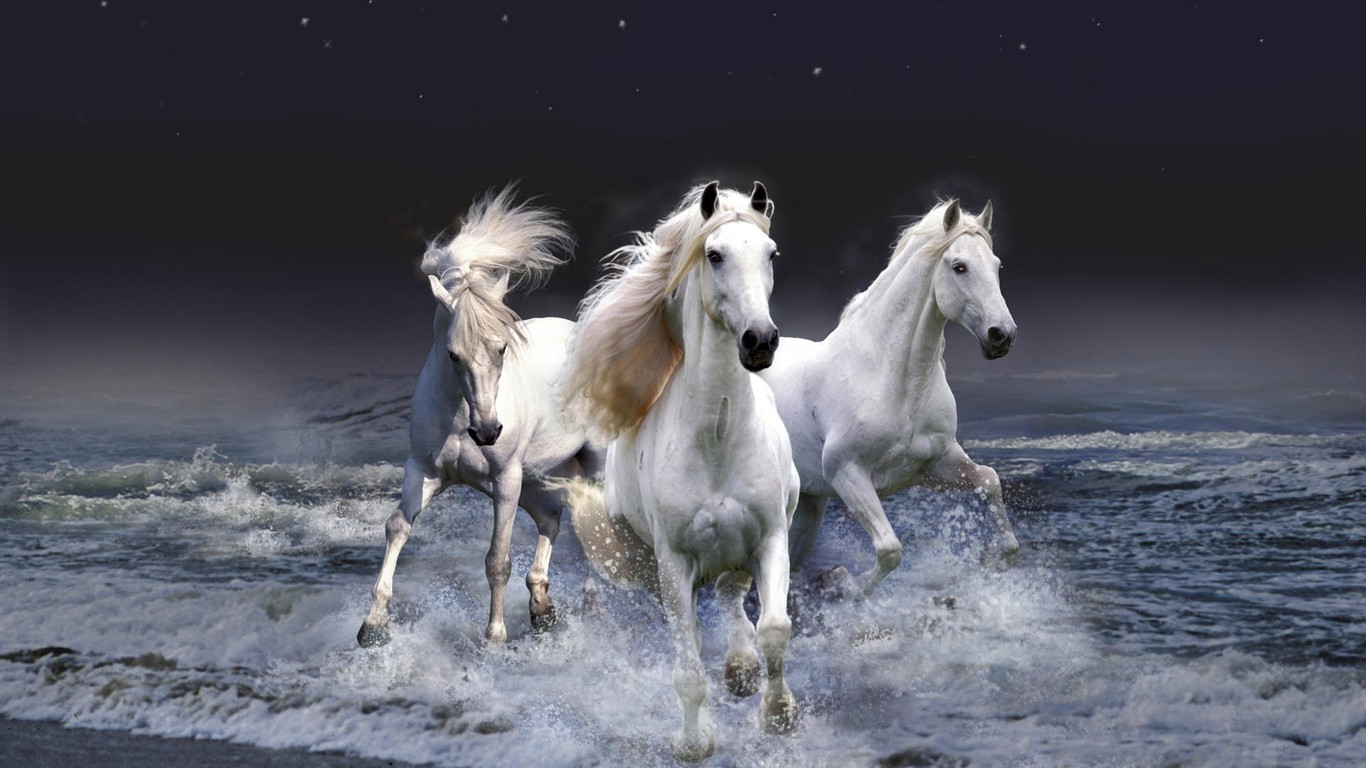 Картинки на рабочий стол лошади - красивые и удивительные 9