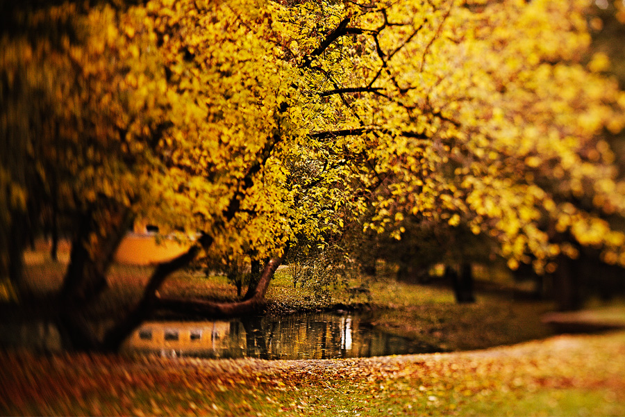 Красивые и удивительные картинки осень в парке - подборка фото 2
