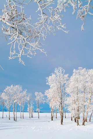 Обои и картинки про зиму на заставку телефона - самые красивые 7