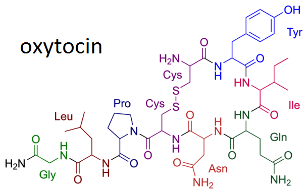 Окситоцин гормон доверия и нежной привязанности 1