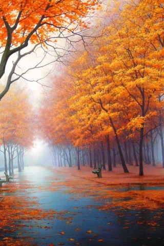 Осенние листья картинки на телефон - самые красивые и прикольные 21