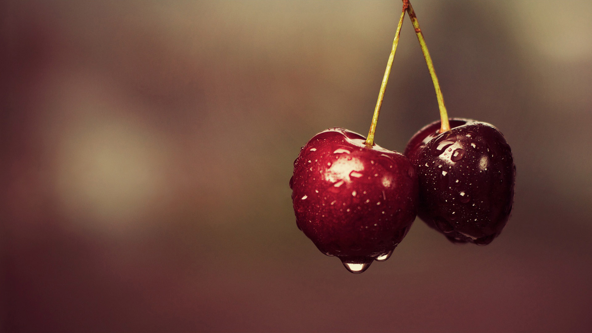 Красивые и прикольные картинки вишни - подборка изображений 10