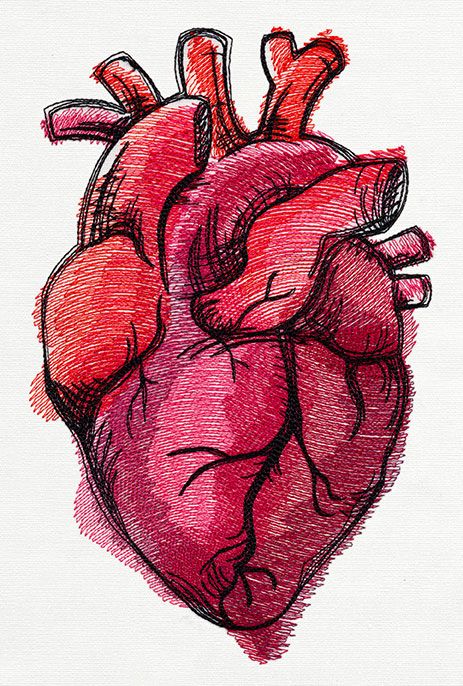 Красивые картинки Сердца для срисовки - самые необычные 5