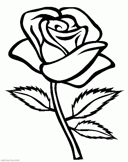 Красивые картинки и рисунки розы для детей - прикольная подборка 1