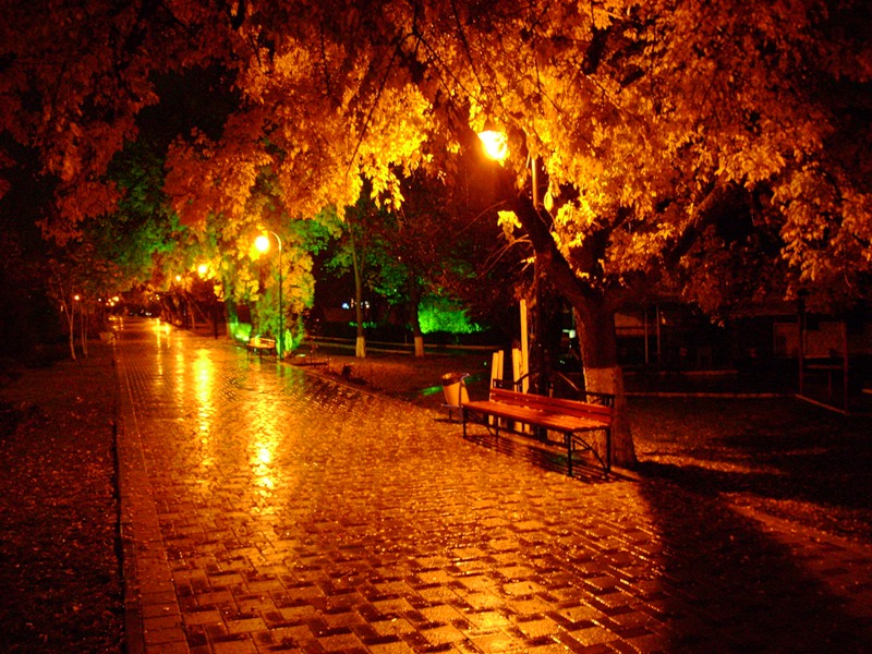 Осенняя ночь картинки и фотографии - очень красивые 1