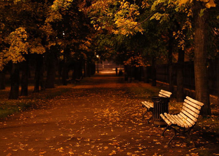 Осенняя ночь картинки и фотографии - очень красивые 3