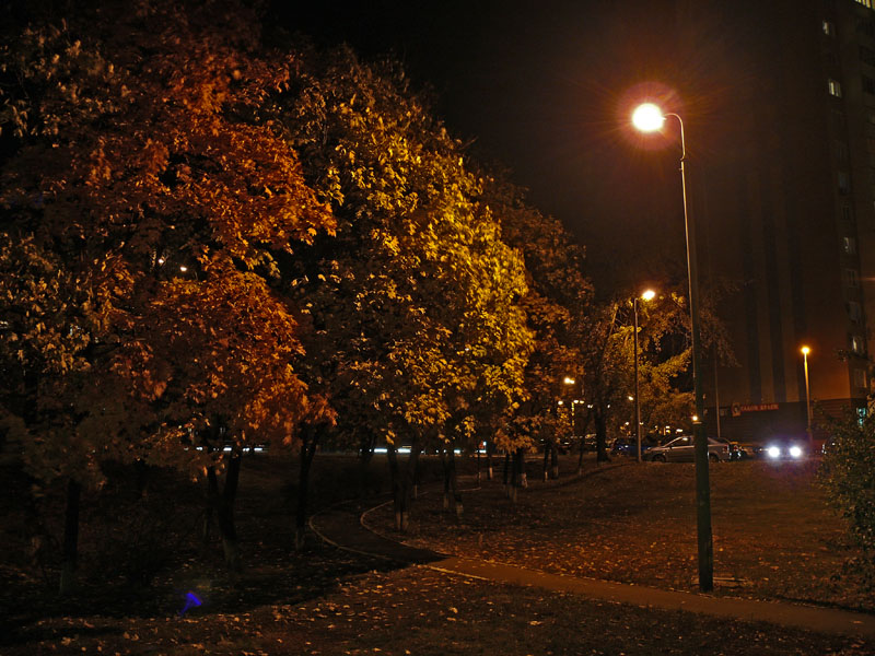 Осенняя ночь картинки и фотографии - очень красивые 9