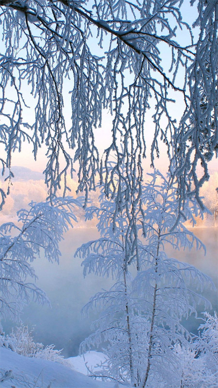 Удивительные картинки на заставку телефона Зима - подборка 6