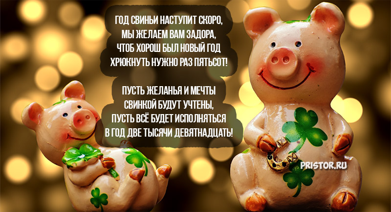 Новогодние Пожелания Про Свинку В Шоколаде