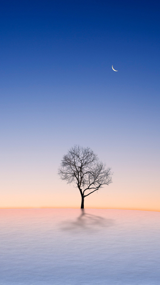 Красивые и красочные картинки зимы на телефон на заставку 10