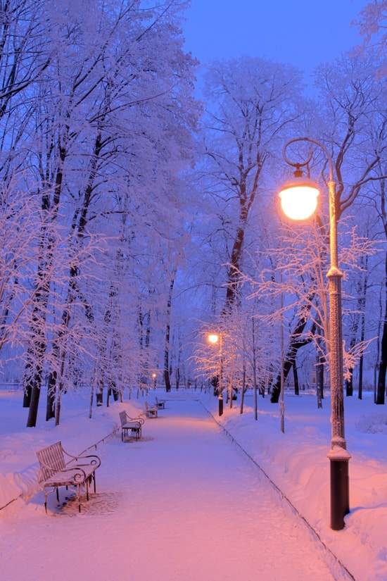 Красивые и красочные картинки зимы на телефон на заставку 17