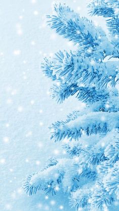 Красивые и красочные картинки зимы на телефон на заставку 3