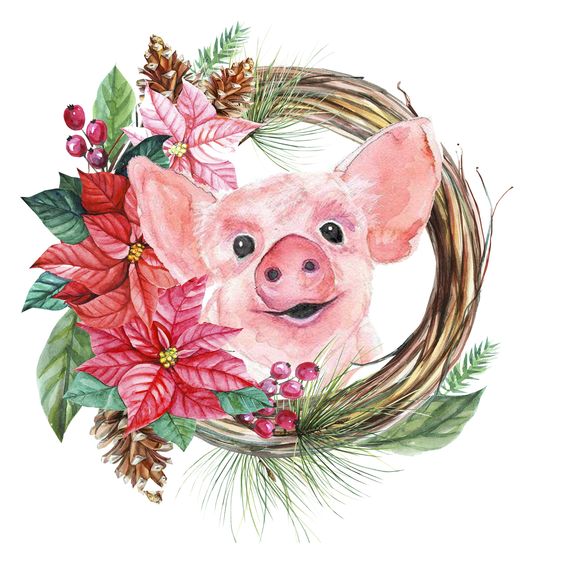 Красивые и прикольные картинки на тему Новогодняя свинья - сборка 13