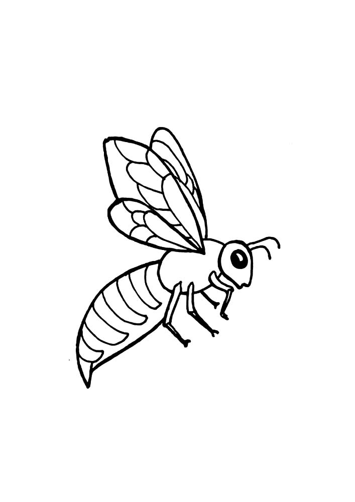Красивые и прикольные картинки, рисунки осы для детей 11