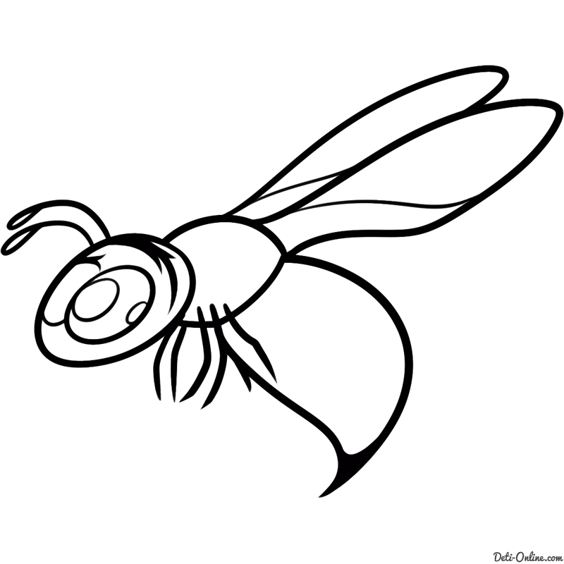 Красивые и прикольные картинки, рисунки осы для детей 2