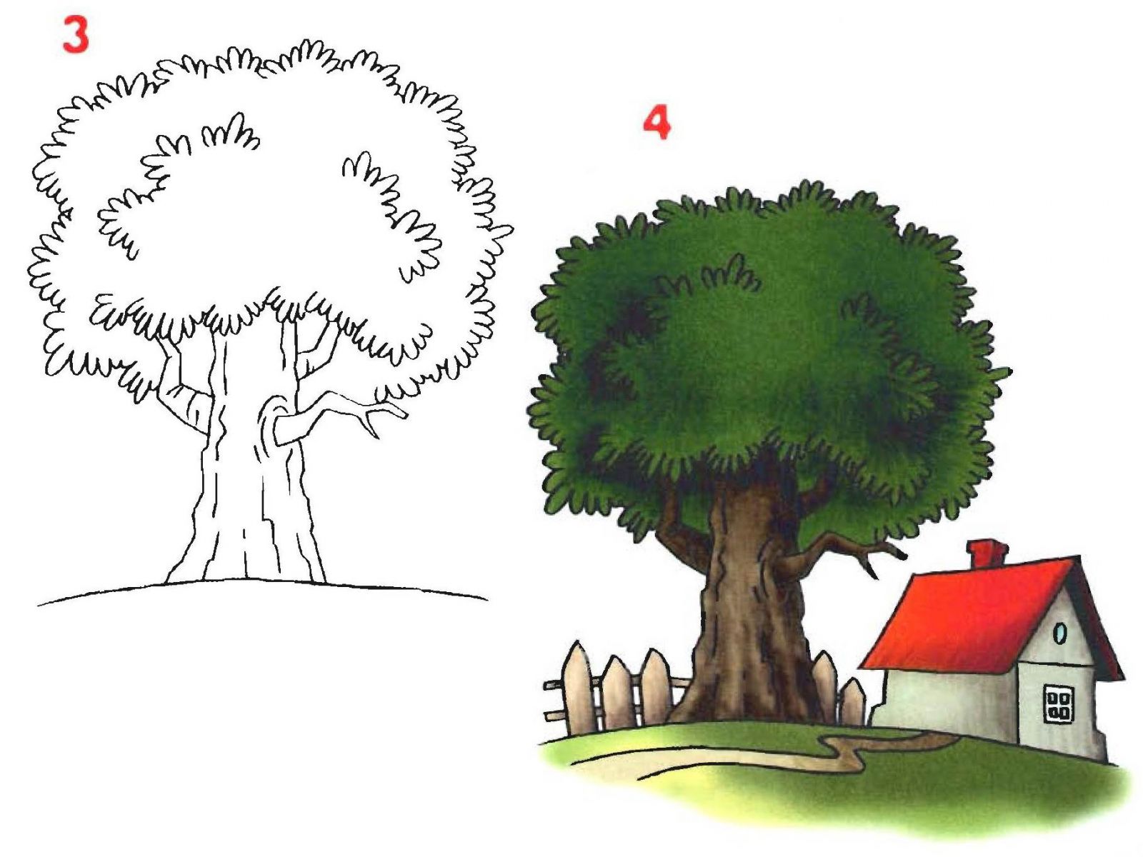 Дерево рисунок карандашом для детей