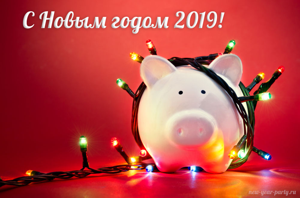 Новогодние открытки 2019 с изображением свиньи - поздравления 11