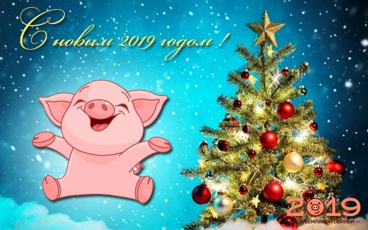 Новогодние открытки 2019 с изображением свиньи - поздравления 2