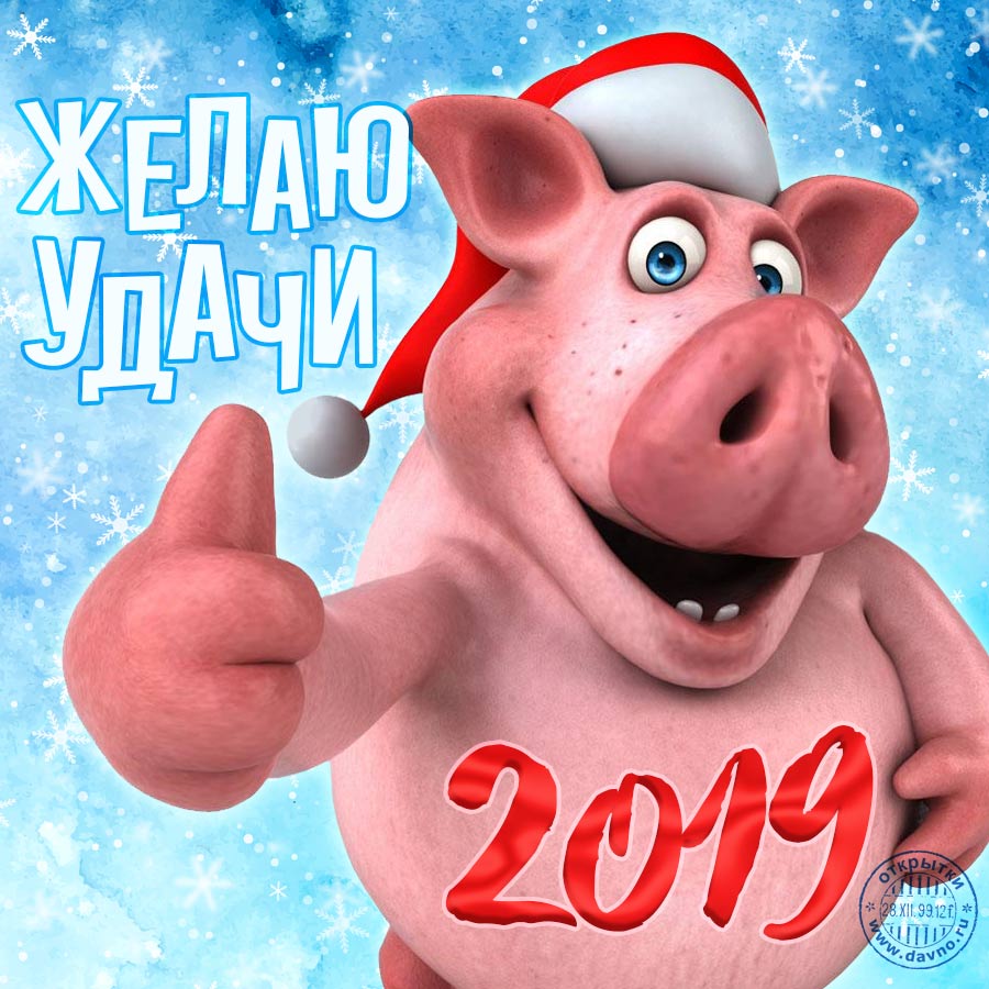 Новогодние открытки 2019 с изображением свиньи - поздравления 9