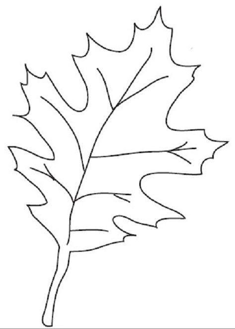Шаблон кленовый лист, интересные рисунки шаблоны кленовый лист 14