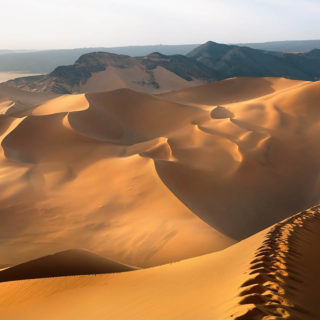 foto-pustyni-saxary