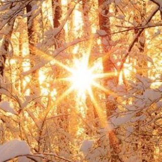 день зимнего солнцестояния в 2016 году