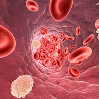 как поднять лейкоциты в крови после химиотерапии